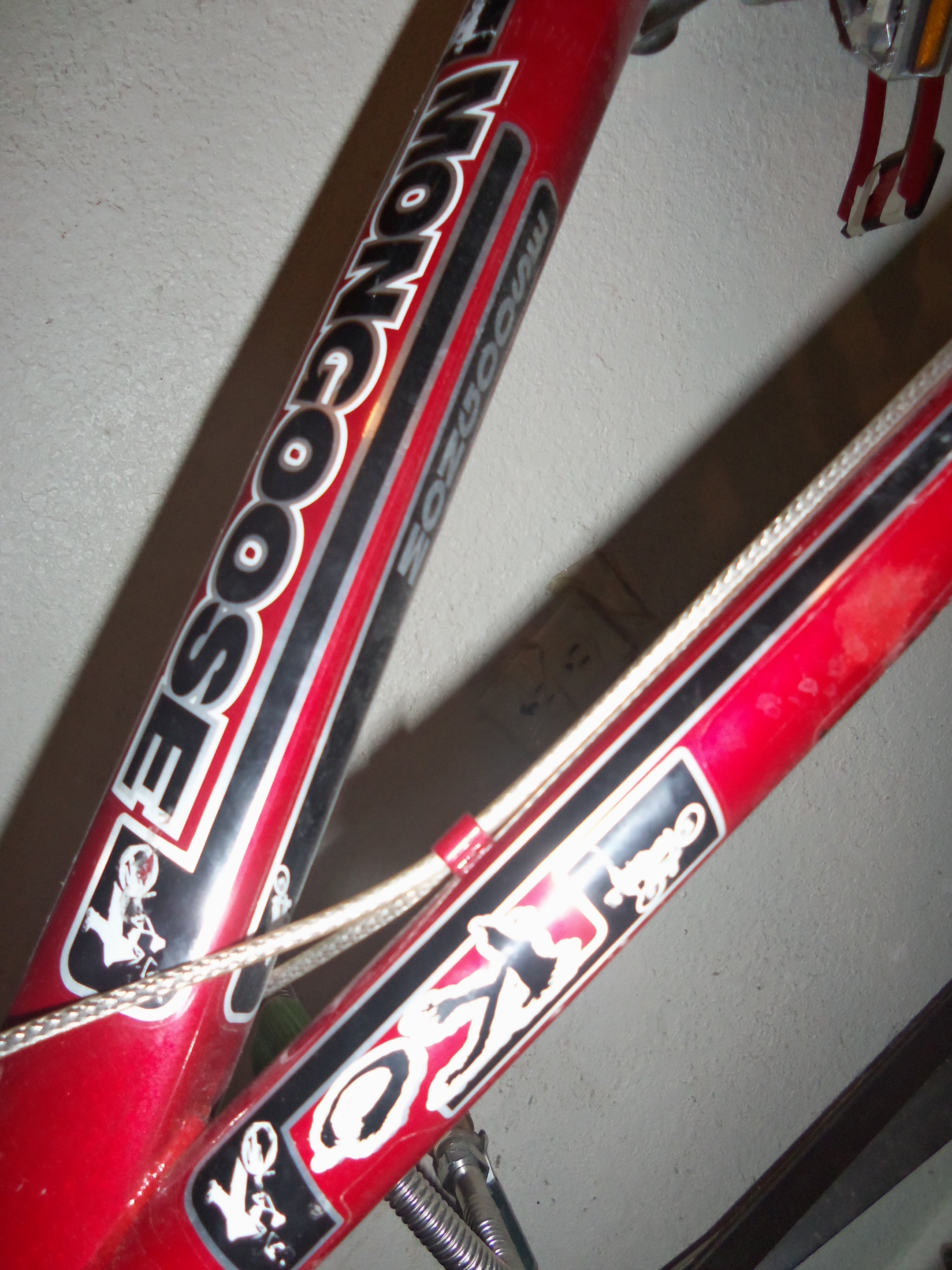 Team Issue Mongoose
